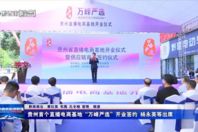 电商签约网红,共筑品牌影响力新篇章