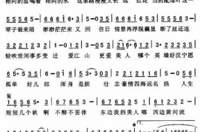 2017网红爱唱的歌曲