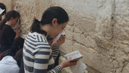 娱乐吃瓜君说白鹿